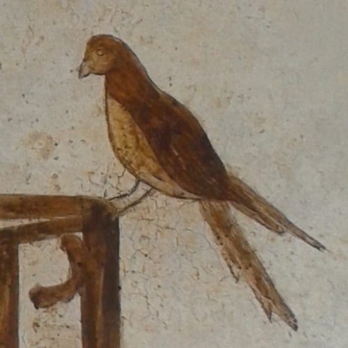 7-Pintura mural 4 C Mondejar pajarito