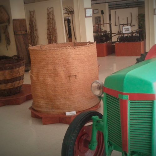 8-Museo Etnog. 2 Campo -