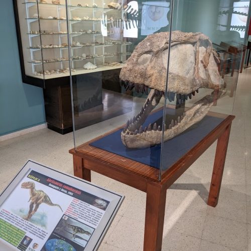 Paleo1