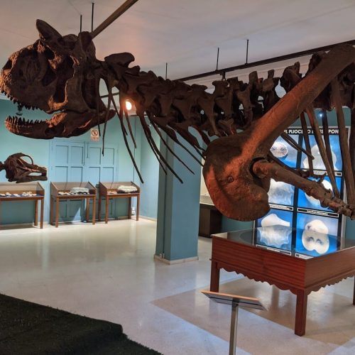 Paleo2