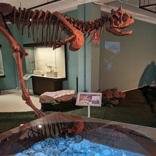 Paleo6