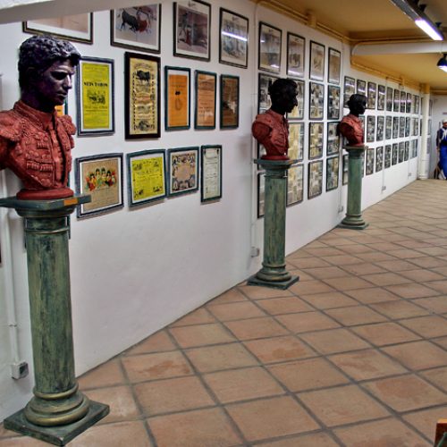 raul s peña calavia
